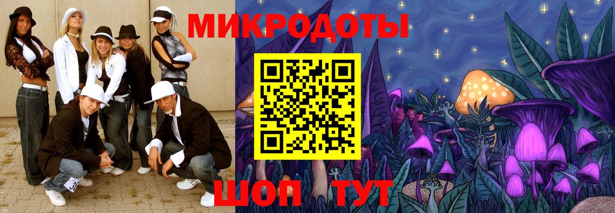Псилоцибиновые грибы Psilocybe Уварово