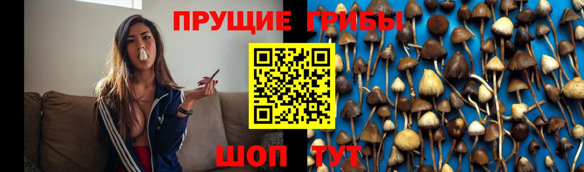 Псилоцибиновые грибы GOLDEN TEACHER  Вход с VPN  Галлюциногенные грибы GOLDEN TEACHER  Уварово 